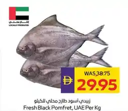 Abu Dhabi Coop Fresh Black Pomfret offer