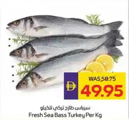 Abu Dhabi Coop Fresh Sea Bass Turkey offer