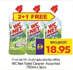 Abu Dhabi Coop WC Net Toilet Cleaner Assorted offer