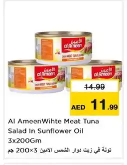 Nesto AL AMEEN Tuna - Canned offer