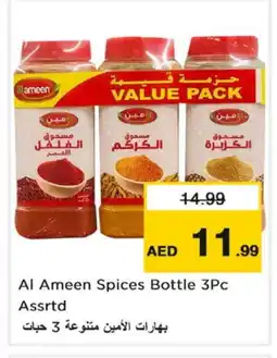 Nesto AL AMEEN Spices / Masala offer