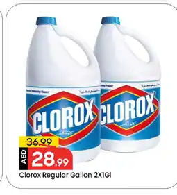 Mark & Save CLOROX Bleach offer