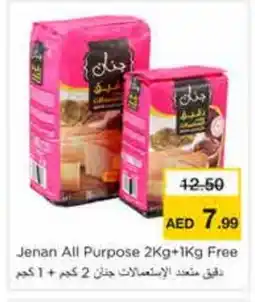 Nesto JENAN All Purpose Flour offer