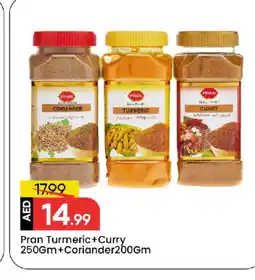 Mark & Save PRAN Spices / Masala offer