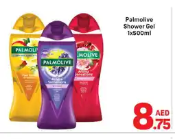 Day To Day PALMOLIVE Shower Gel offer
