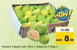 Nesto Guava Egypt per Box offer