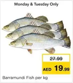 Nesto Barramundi Fish offer
