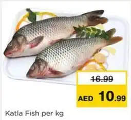 Nesto Katla Fish offer