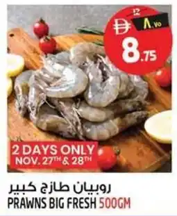 Safari Hypermarket Prawns big fresh offer
