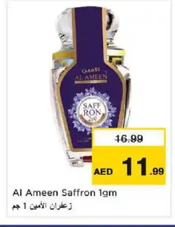 Nesto AL AMEEN Spices / Masala offer