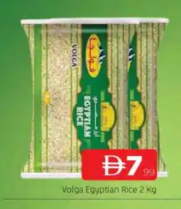 Al Madina VOLGA Egyptian / Calrose Rice offer