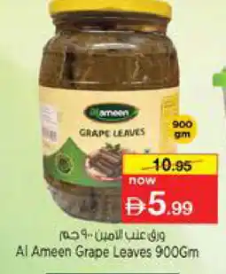 Nesto AL AMEEN Pickle offer