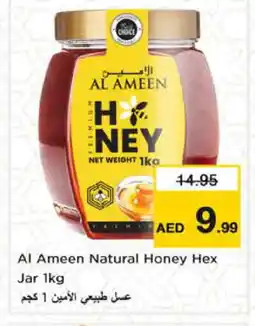 Nesto AL AMEEN Honey offer