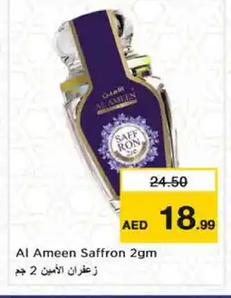 Nesto AL AMEEN Spices / Masala offer