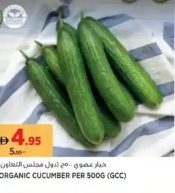Aswaaq Organic cucumber offer