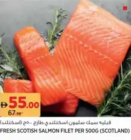 Aswaaq Fresh scotish salmon filet offer
