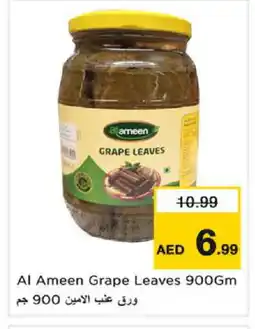Nesto AL AMEEN Pickle offer