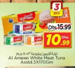 Nesto AL AMEEN Tuna - Canned offer