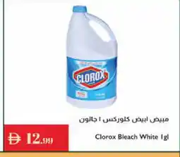 Istanbul Supermarket CLOROX Bleach offer