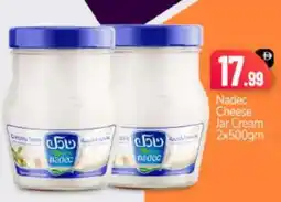Bigmart NADEC Cream Cheese offer