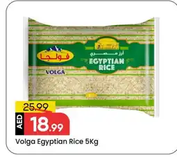 Mark & Save VOLGA Egyptian / Calrose Rice offer