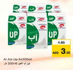 Nesto AL AIN Fresh Milk offer