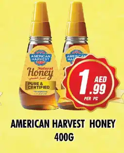 Night to Night Hypermarket AMERICAN HARVEST Honey offer
