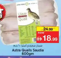 Nesto AL ISLAMI Chicken Kabab offer