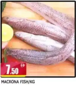 Al Madina Macrona Fish offer