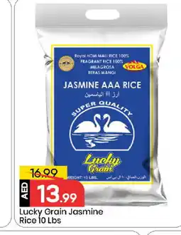 Mark & Save VOLGA Jasmine Rice offer