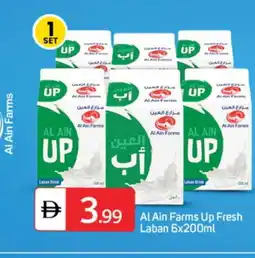 Talal Market AL AIN Laban offer