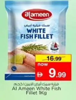 Nesto Al Ameen White Fish Fillet offer