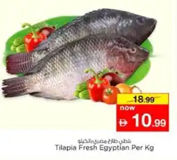 Nesto Tilapia Fresh Egyptian offer