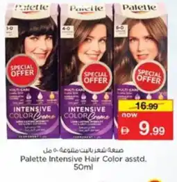 Nesto Palette Intensive Hair Color asstd. offer