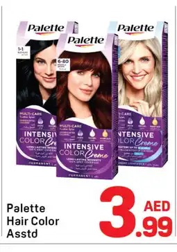 Day To Day PALETTE Hair Colour offer