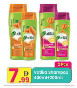 Everyday Center VATIKA Shampoo / Conditioner offer