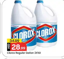 Mark & Save CLOROX Bleach offer