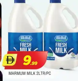 Al Madina MARMUM Fresh Milk offer