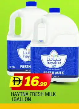 Al Madina HAYATNA Fresh Milk offer