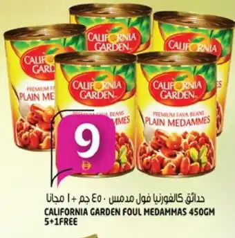 Hashim Hypermarket CALIFORNIA Fava Beans offer