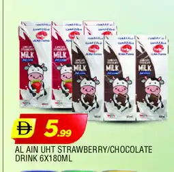 Al Madina AL AIN Long Life / UHT Milk offer