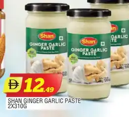 Al Madina SHAN Garlic Paste offer