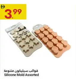 Grand Emirates Market Silicone Mold Assorted offer