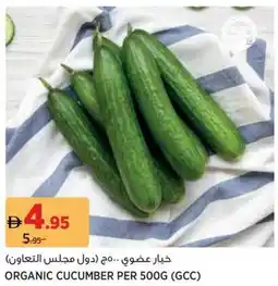 Aswaaq Organic cucumber offer