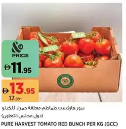 Aswaaq Pure harvest tomato red bunch offer
