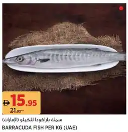 Aswaaq Barracuda Fish offer