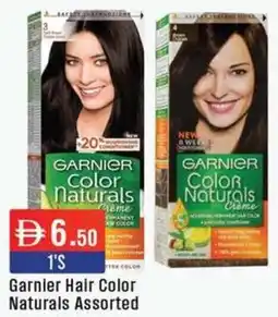 West Zone Supermarket Garnier Hair Color Naturals Assorted offer