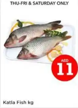 Nesto Katla Fish offer