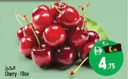 Safari Hypermarket Cherry offer
