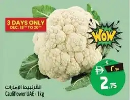 Safari Hypermarket Cauliflower UAE offer
